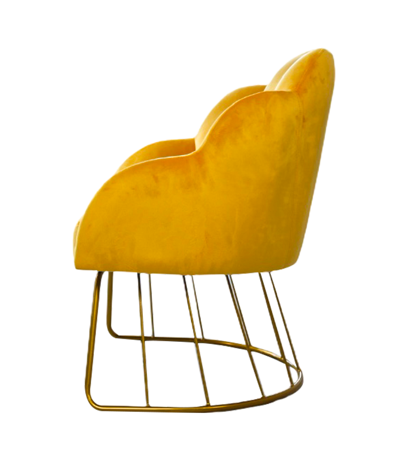 AN314 Succulent pétale chaise de dressing chaise à ongles